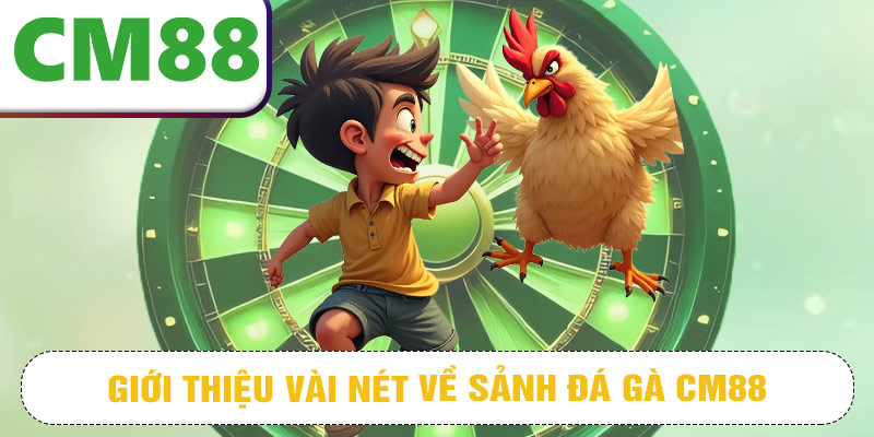 Giới thiệu vài nét về sảnh đá gà CM88